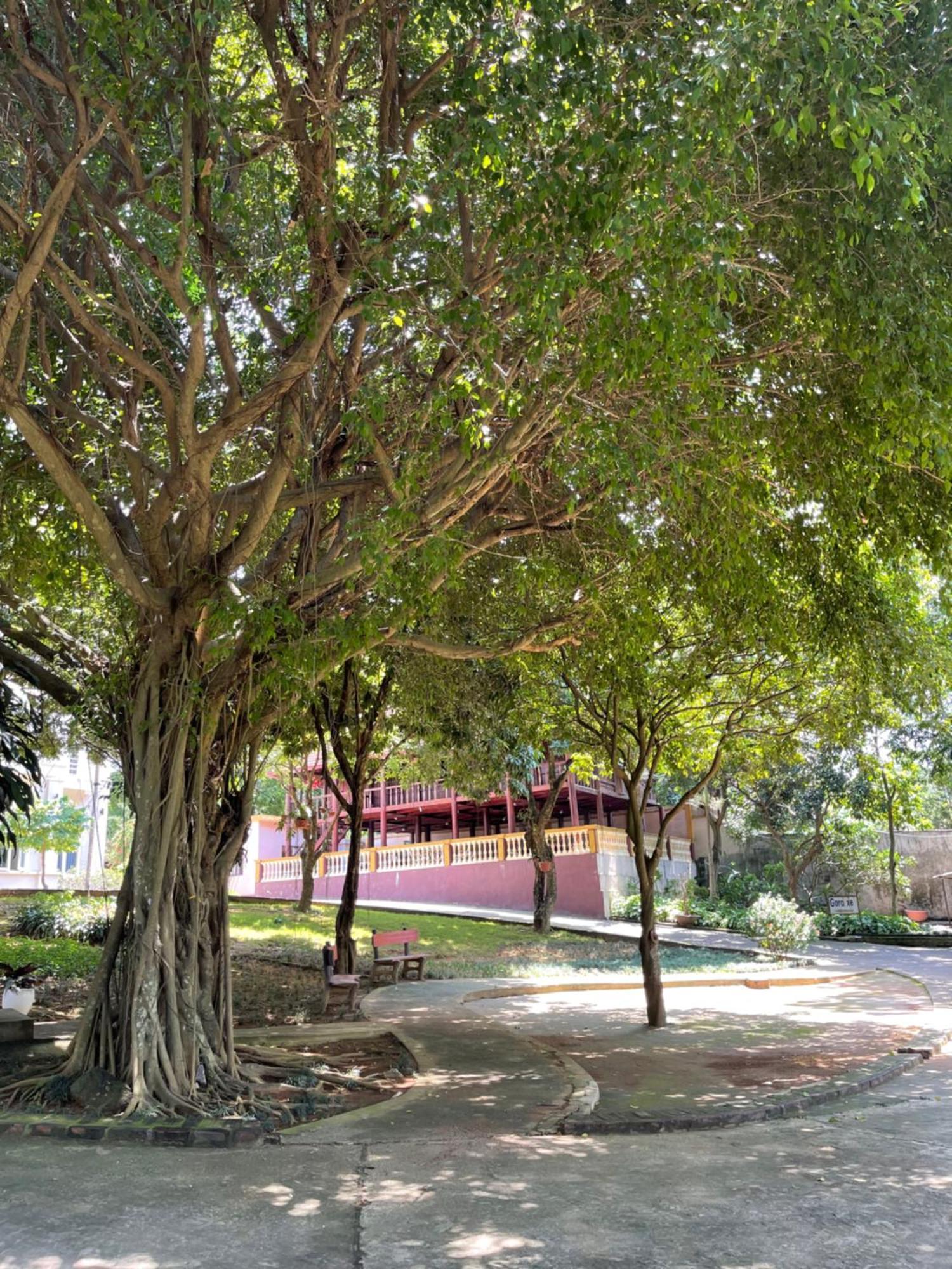 Thien Binh Hotel Hòa Bình Buitenkant foto