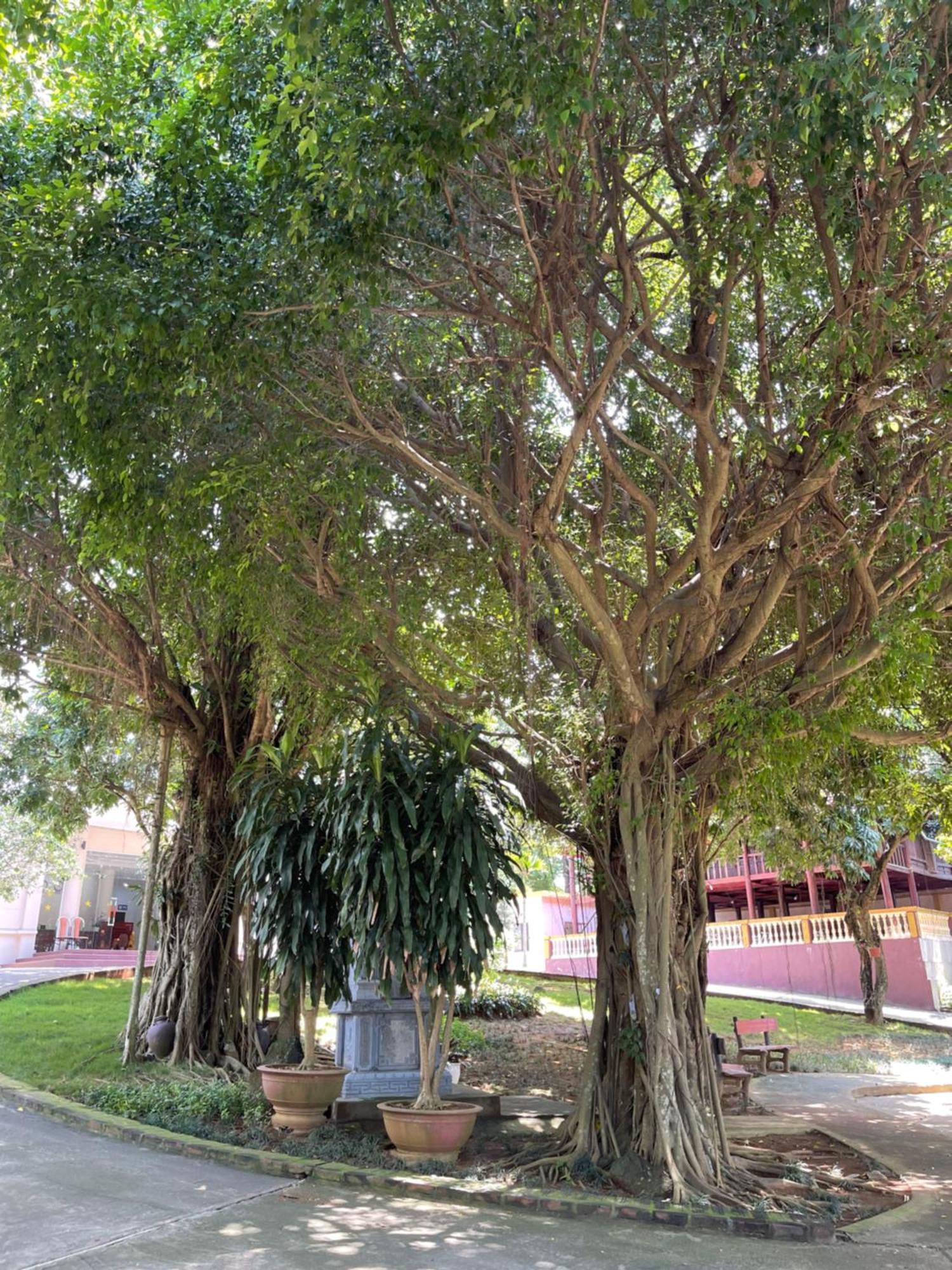 Thien Binh Hotel Hòa Bình Buitenkant foto